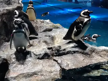 すみだ水族館に投稿された画像（2020/8/15）