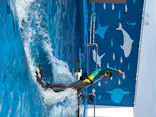 仙台うみの杜水族館に投稿された画像（2020/8/15）