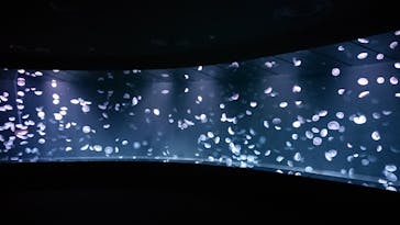 サンシャイン水族館に投稿された画像（2020/8/15）