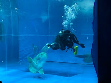 アクアワールド茨城県大洗水族館に投稿された画像（2020/8/15）