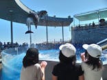 大分マリーンパレス水族館 「うみたまご」に投稿された画像（2020/8/15）