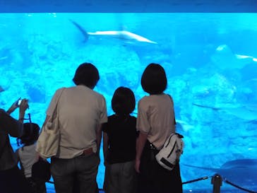 大分マリーンパレス水族館 「うみたまご」に投稿された画像（2020/8/15）