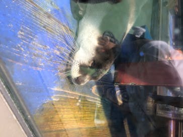 ゼロ距離水族館 伊勢シーパラダイスに投稿された画像（2020/8/15）