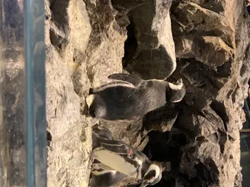 すみだ水族館に投稿された画像（2020/8/15）