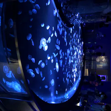 すみだ水族館に投稿された画像（2020/8/15）