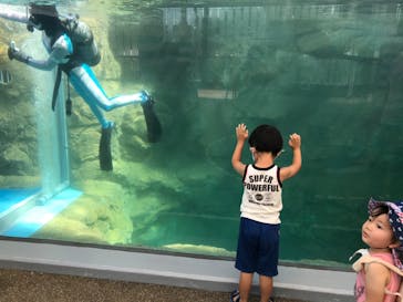 京都水族館に投稿された画像（2020/8/15）