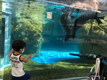 京都水族館に投稿された画像（2020/8/15）