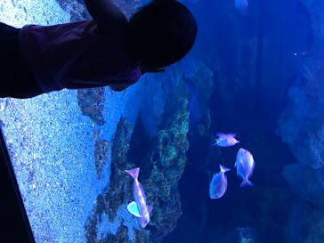 京都水族館に投稿された画像（2020/8/15）