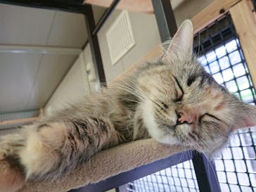 しろとり動物園に投稿された画像（2020/8/15）