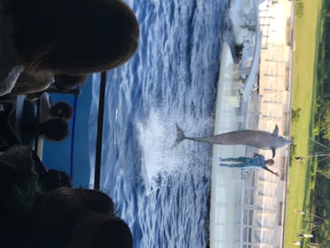 京都水族館に投稿された画像（2020/8/15）