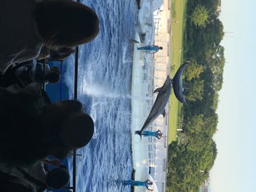 京都水族館に投稿された画像（2020/8/15）