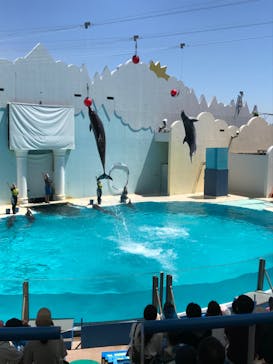 株式会社Gに投稿された画像（2020/8/15）