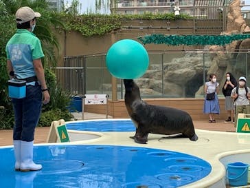 サンシャイン水族館に投稿された画像（2020/8/15）