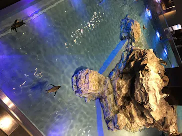 すみだ水族館に投稿された画像（2020/8/15）