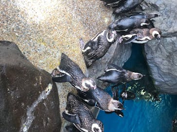 株式会社Gに投稿された画像（2020/8/15）