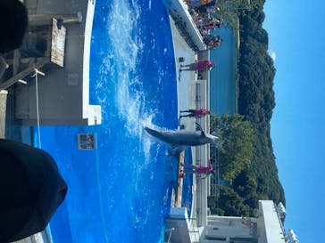 九十九島遊覧船に投稿された画像（2020/8/15）