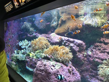 サンシャイン水族館に投稿された画像（2020/8/15）