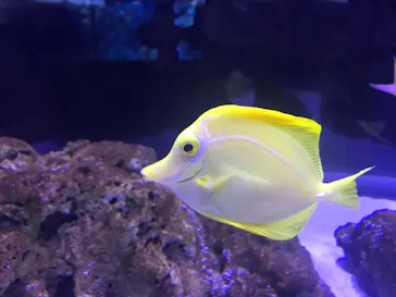 すみだ水族館に投稿された画像（2020/8/15）