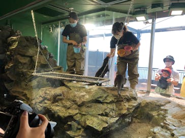 新江ノ島水族館に投稿された画像（2020/8/15）