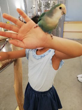 Moff アニマル カフェ イーアス 高尾店に投稿された画像（2020/8/15）