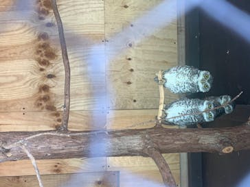 那須サファリパークに投稿された画像（2020/8/15）