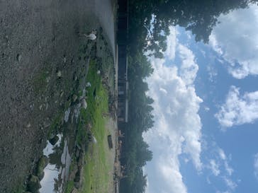 那須サファリパークに投稿された画像（2020/8/15）