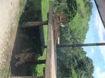 那須サファリパークに投稿された画像（2020/8/15）