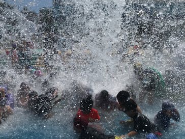 日本モンキーパークに投稿された画像（2020/8/15）