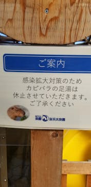 株式会社Gに投稿された画像（2020/8/15）