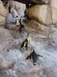 仙台うみの杜水族館に投稿された画像（2020/8/15）