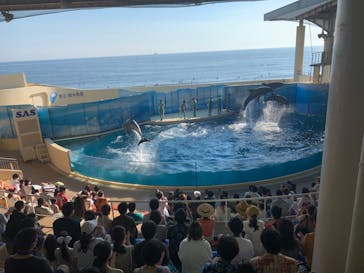 新江ノ島水族館に投稿された画像（2020/8/15）
