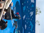 仙台うみの杜水族館に投稿された画像（2020/8/15）