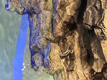 すみだ水族館に投稿された画像（2020/8/15）