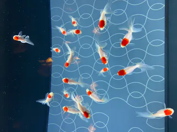 すみだ水族館に投稿された画像（2020/8/15）