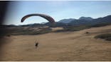 鳥取砂丘パラグライダー体験スクール（砂丘本舗）に投稿された画像（2020/8/15）
