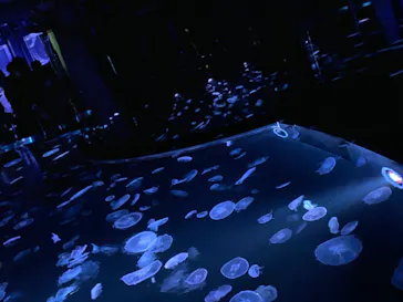 すみだ水族館に投稿された画像（2020/8/15）