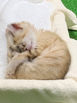 那須どうぶつ王国に投稿された画像（2020/8/15）