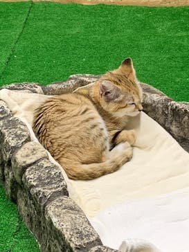 那須どうぶつ王国に投稿された画像（2020/8/15）