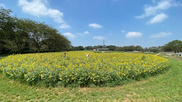 成田ゆめ牧場に投稿された画像（2020/8/15）