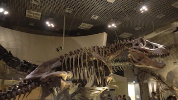 国立科学博物館に投稿された画像（2020/8/15）