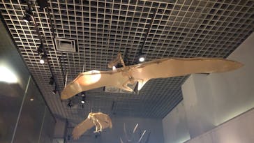 国立科学博物館に投稿された画像（2020/8/15）