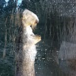 株式会社Gに投稿された画像（2020/8/15）