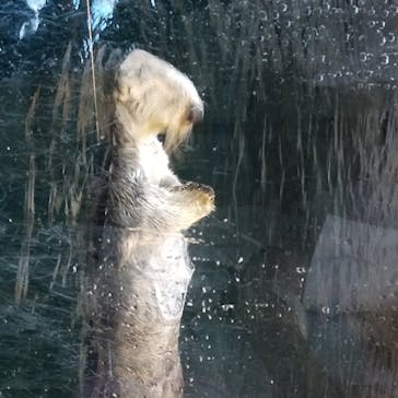 株式会社Gに投稿された画像（2020/8/15）