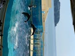 新江ノ島水族館に投稿された画像（2020/8/15）