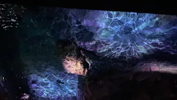 すみだ水族館に投稿された画像（2020/8/15）