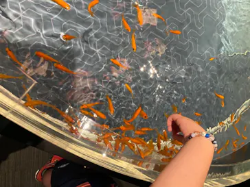 すみだ水族館に投稿された画像（2020/8/15）