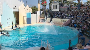 株式会社Gに投稿された画像（2020/8/15）