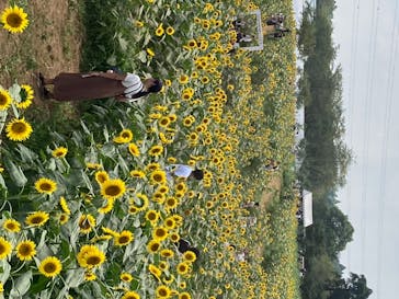 成田ゆめ牧場に投稿された画像（2020/8/15）