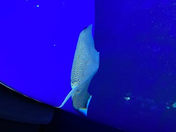 サンシャイン水族館に投稿された画像（2020/8/15）