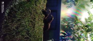 サンシャイン水族館に投稿された画像（2020/8/15）